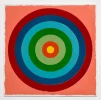 This painting depicts a colorful target.