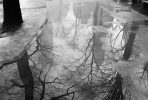 This lack and white photograph shows concrete layered in a puddle where the reflection of trees is seen.