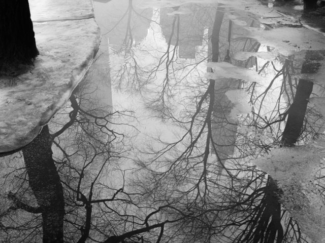This lack and white photograph shows concrete layered in a puddle where the reflection of trees is seen.